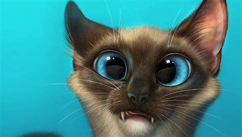 15 Funny Siamese Cats To Brighten Up Your Day | Page 2 of 4 | PetPress