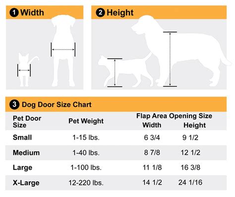 eXtreme Dual Flap Aluminum Dog Door - Large - eXtreme Dog Door - Best Dog Doors 2024