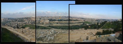 Lion Tracks Photo QnA -- The Mount of Olives, near Jerusalem, in the ...