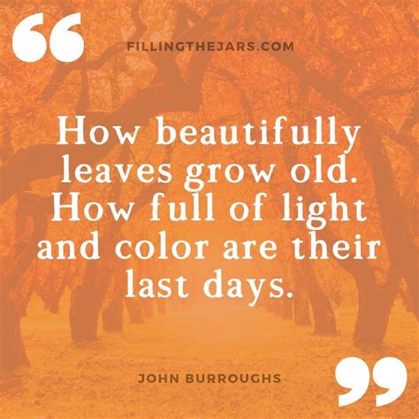 Autumn Leaves Quotes: 25 Gorgeous Fall Seasonal Quotes | Filling the Jars