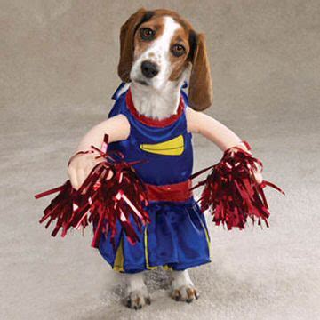 » Doggie Cheerleader