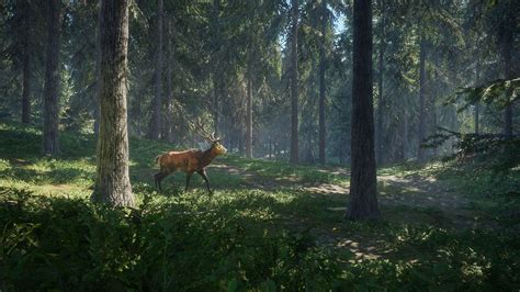 TheHunter: Call Of The Wild Game Wallpapers - Wallpaper Cave