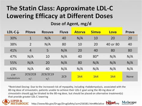 PPT - Personalizing Lipid Management: Statin Treatment Considerations ...