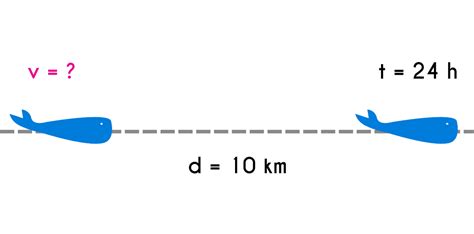 Constant Velocity Motion - Examples and Formulas | Fhybea