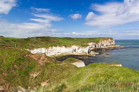 Flamborough Head | Natureflip