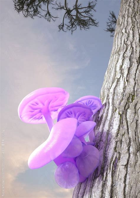 Translucent purple mushrooms grow on a tree. | Mushroom art, Digital ...