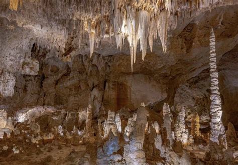 15 Best Things to do in Carlsbad Caverns National Park – You Won’t Want ...