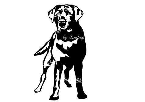 Lab svg dog clipart black labrador retriever vector graphic | Etsy