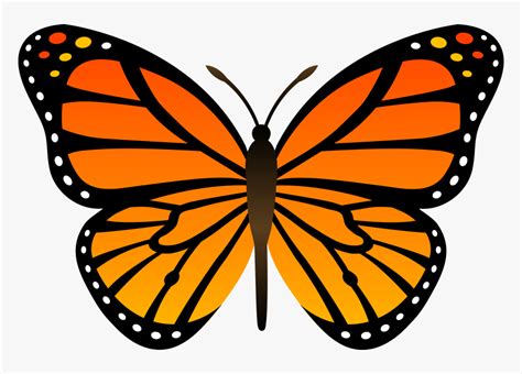 Orange Butterfly Png Image, Butterflies Free Download - Drawing Easy Monarch Butterfly ...