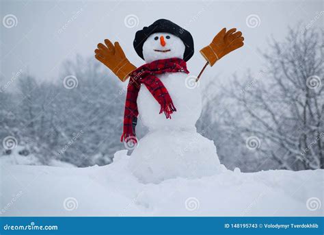 Snow Man. Snowman. Snowman Isolated On Snow Background. Snowman In A ...