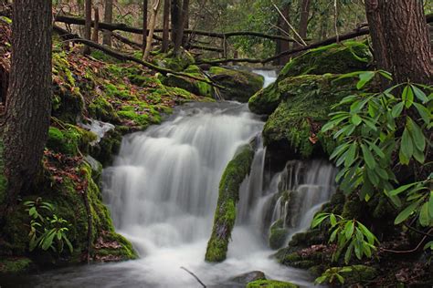 Free picture: wood, water, waterfall, nature, river, leaf, stream, landscape