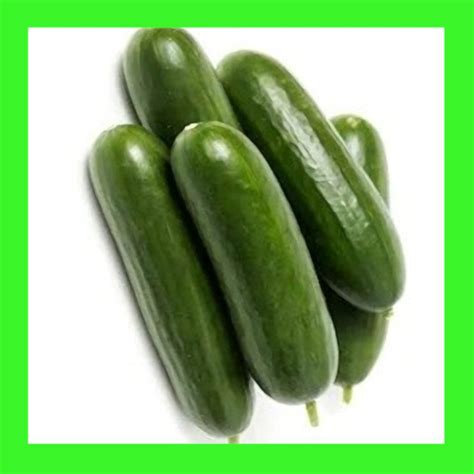 CUCUMBER-LEBANESE - Heritage organic open pollinated seeds