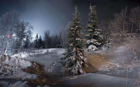 night, Landscape, Trees, Snow, Ice, Winter Wallpapers HD / Desktop and ...