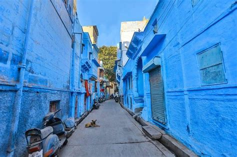 Jodhpur Blue City Tour 2023