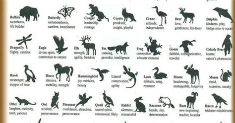 Native American Animal Symbols