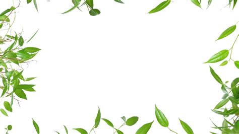 Green leaves background clipart 20 free Cliparts | Download images on ...