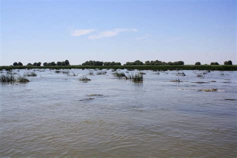Volga river delta stock photo. Image of water, landscape - 128587250