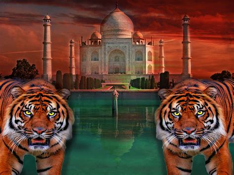 Taj Mahal Tiger India Big · Free image on Pixabay