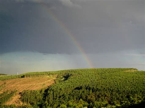 Rainbow Over Green Hill Free Stock Photo - Public Domain Pictures