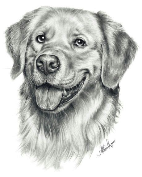 Realistic Dog Portrait Drawing