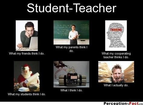 Funny student teacher meme showing what friends parents teachers and ...