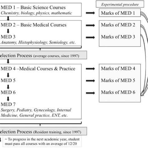 Medical school curriculum in Belgium. | Download Scientific Diagram