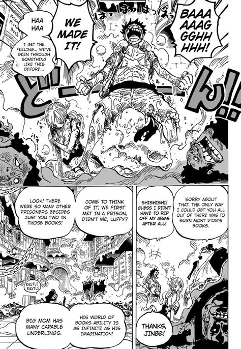 one piece - What is Nami referring to in this this panel? - Anime & Manga Stack Exchange