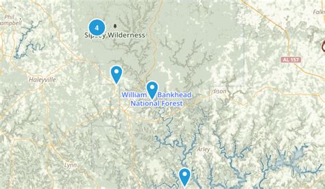 Best Wildlife Trails in William B Bankhead National Forest | 134 Photos ...