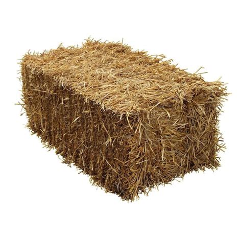 BELL NURSERY Straw Bale Full Size STRAWFULL1PK - The Home Depot