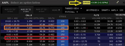 Understanding Option Premium : Everything You Need To Know