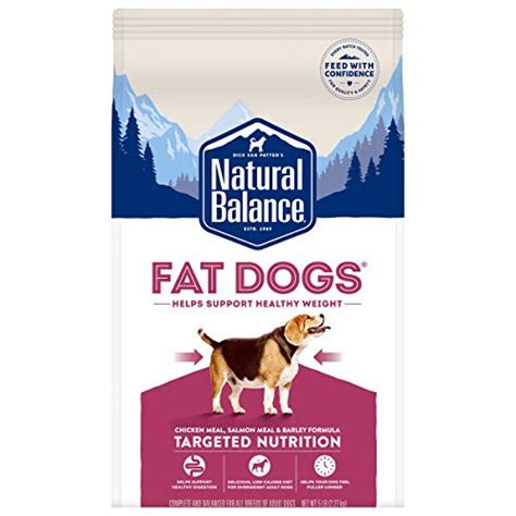 Best Low Protein Dry Dog Food