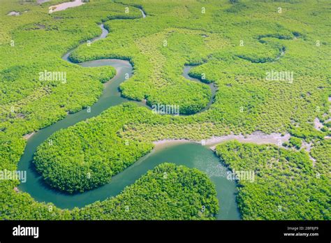 Aerial view of Amazon rainforest in Brazil, South America. Green forest ...