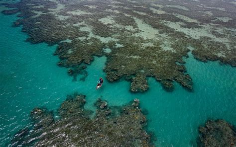 Abrolhos Seascape