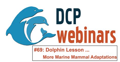 DCP Dolphin Lesson: More Marine Mammal Adaptations! – Dolphin Communication Project