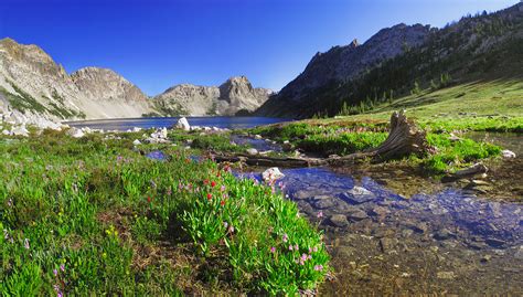 Panorama , Mountain Stream, Flowers and Sawtooth Lake - Sawtooth Mountains, Idaho