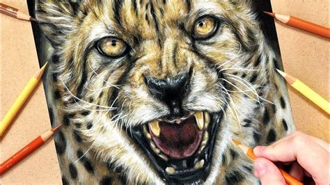 How to Draw a Cheetah using Coloured Pencils | Realistic animal drawings, Animal drawings ...