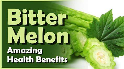 Bitter Melon Health Benefits - Amazing Uses of Bitter Melon - Bitter ...