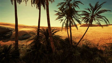 Oasis at the moroccan desert dunes 6254017 Stock Video at Vecteezy