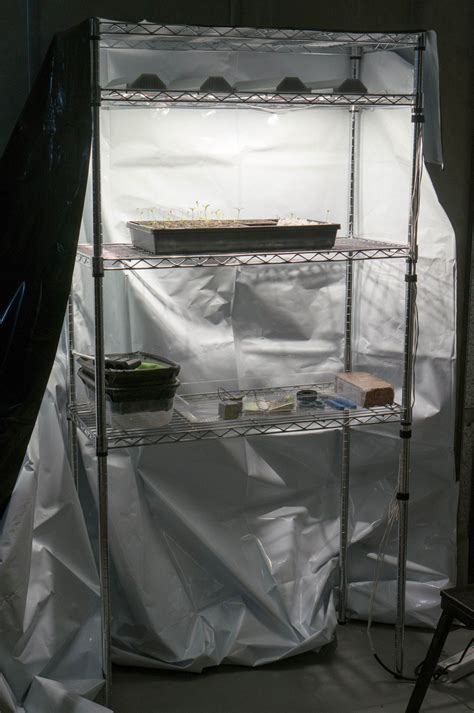 DIY Grow Tent | Grow tent, Diy tent, Grow room