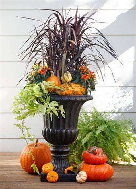 Best Plants For Fall Planters – HomeDecorish