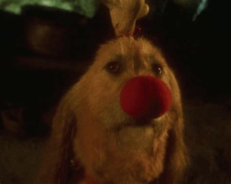 How Many Dogs Played Max In The Grinch