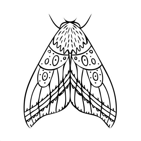 Night butterfly, moth. Hand drawn illustration. Black and white background. 6853445 Vector Art ...