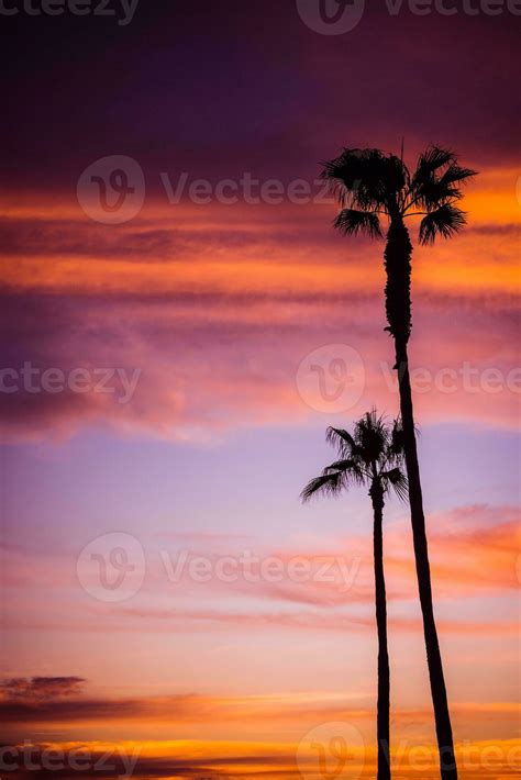 Palm Beach Sunset 24528580 Stock Photo at Vecteezy