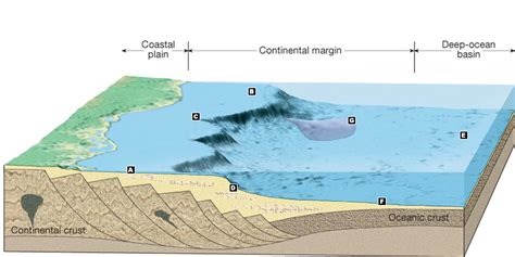 Passive Continental Margin Diagram | Quizlet