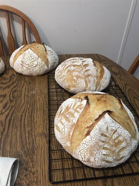 Basics Sourdough Bread x Joshua Weissman to get back into bread making. Not so pretty and not ...