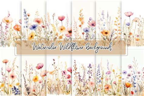 Watercolor Wildflower Backgrounds Graphic by christina.clipart · Creative Fabrica