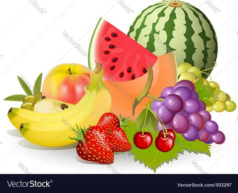 Groups of fruits Royalty Free Vector Image - VectorStock