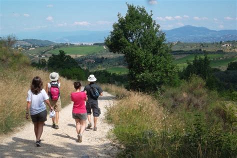 Hiking in Tuscany starting from Florence