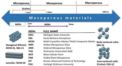 A review on the latest developments of mesoporous silica nanoparticles as a promising platform ...