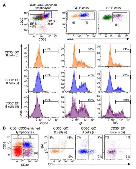 JCI - Human CD30+ B cells represent a unique subset related to Hodgkin ...